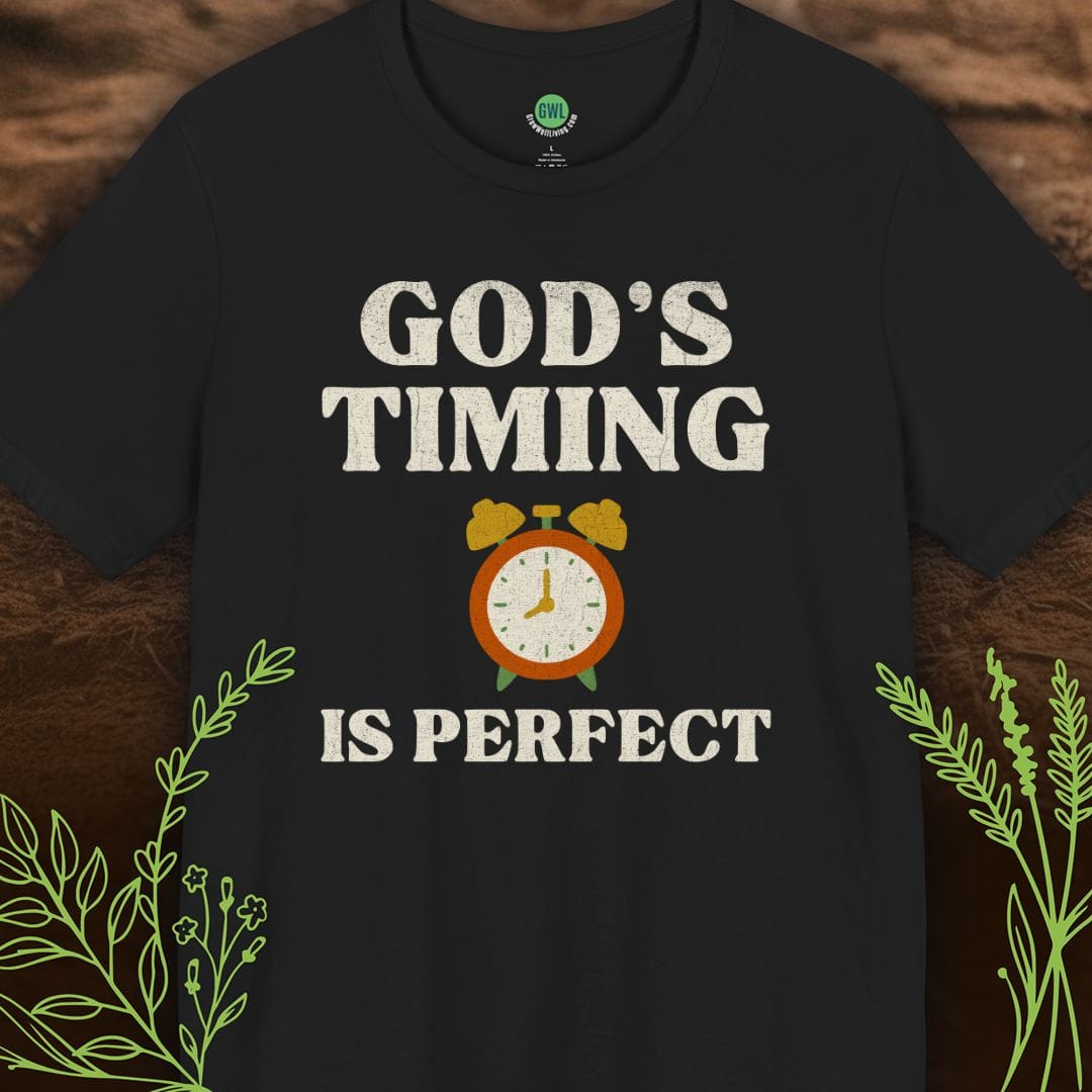 God’s Timing Is Perfect – Trust His Plan