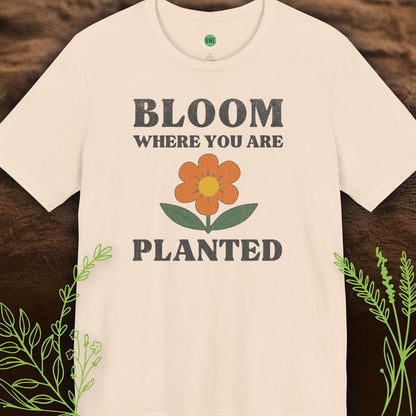 Bloom Where You Are Planted – Flourish in Faith