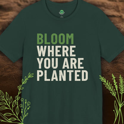 Bloom Where You Are Planted