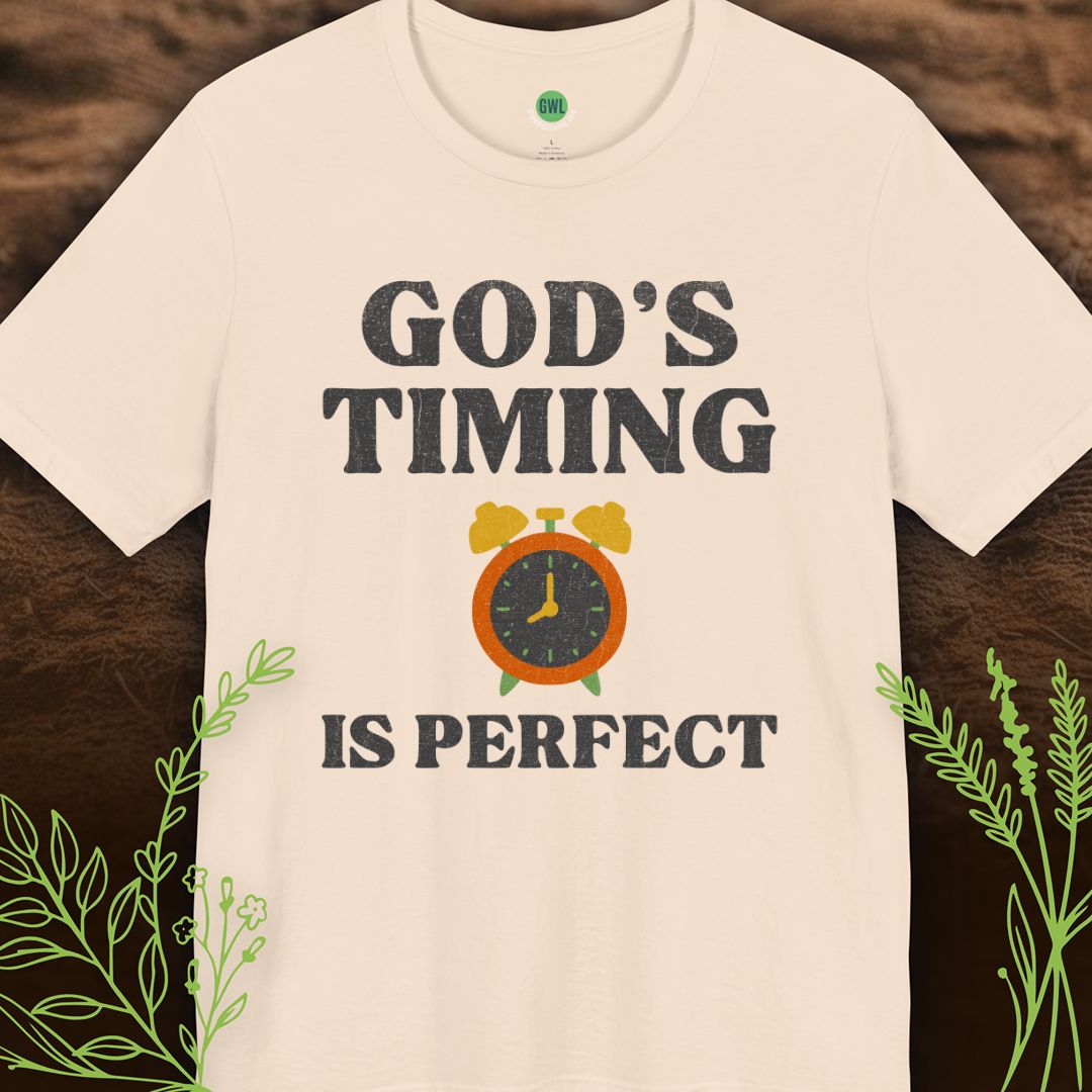 God’s Timing Is Perfect – Trust His Plan