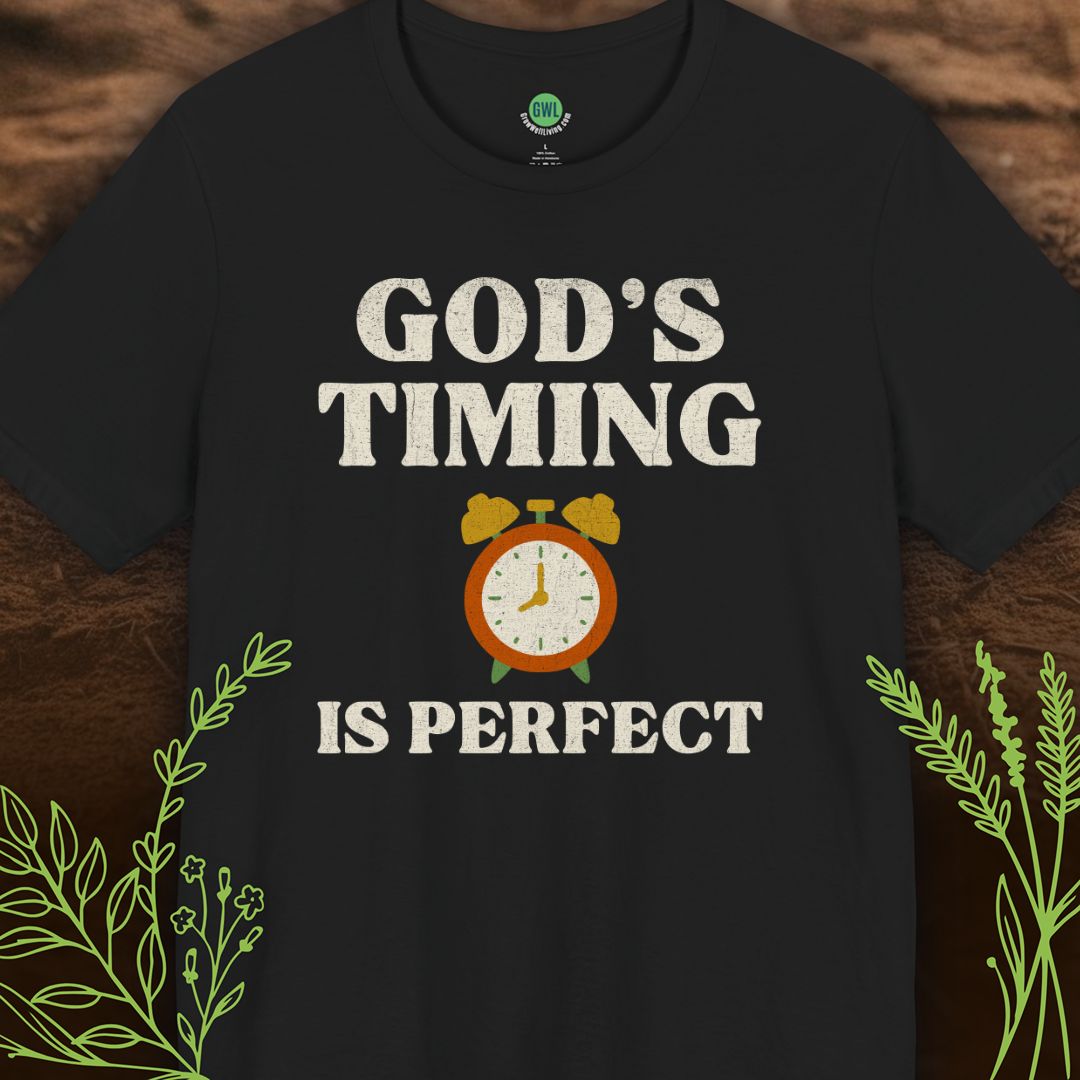 God’s Timing Is Perfect – Trust His Plan