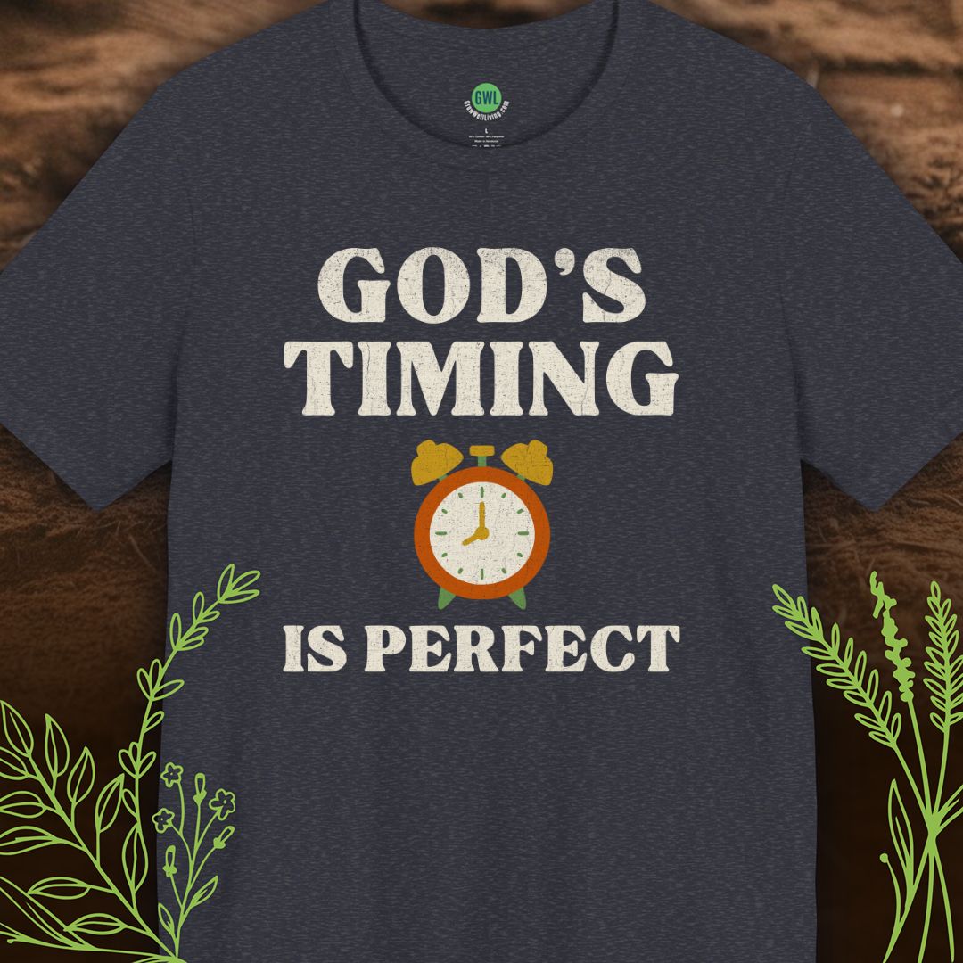 God’s Timing Is Perfect – Trust His Plan